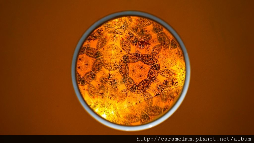 DSC09062.jpg DSC09062.jpg