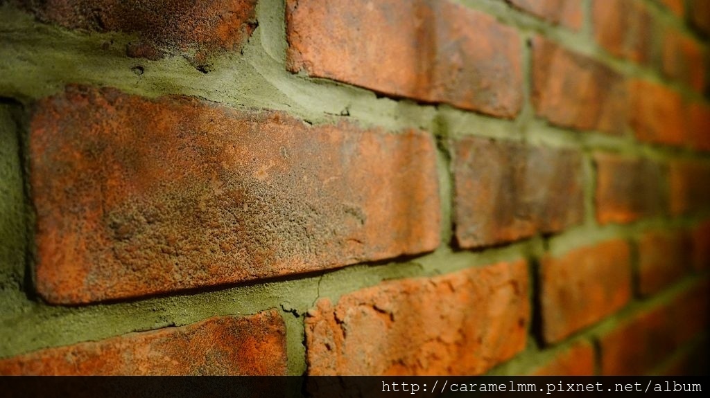 DSC08126.jpg DSC08126.jpg