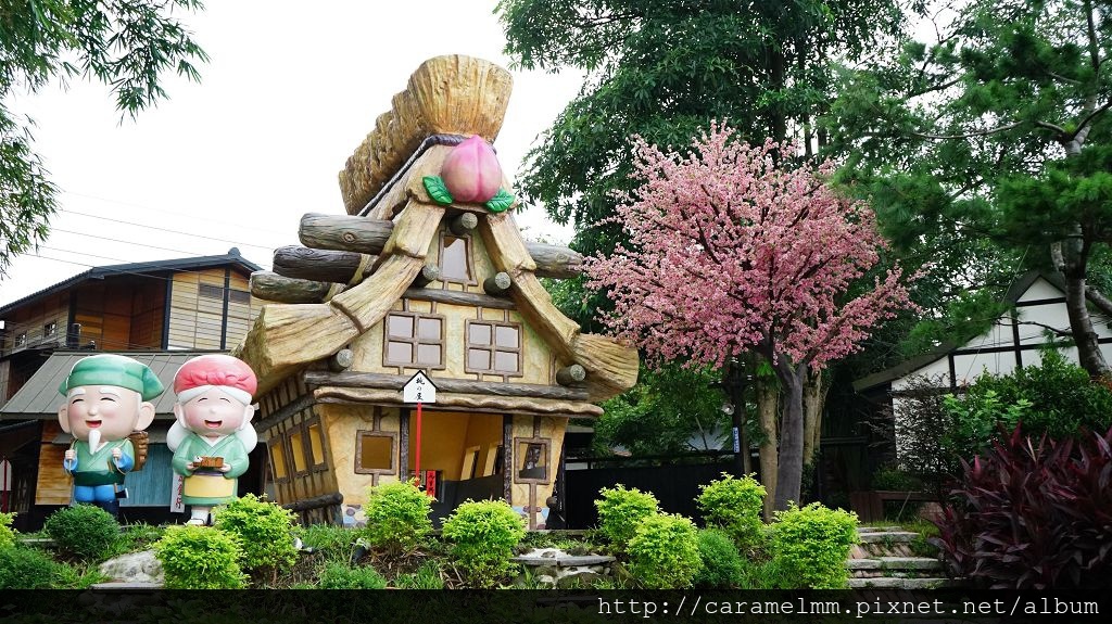 DSC03906.jpg DSC03906.jpg