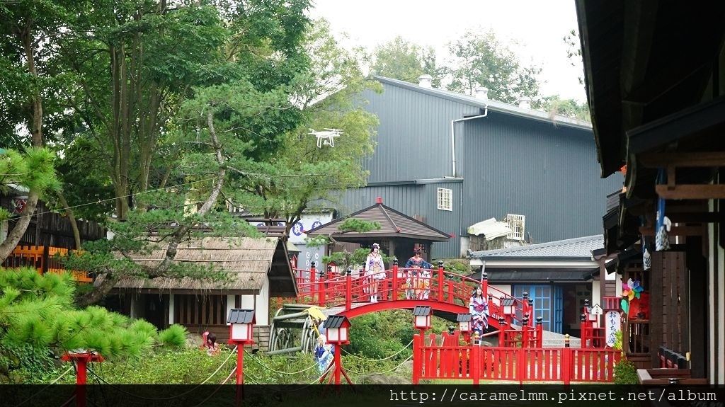 DSC03949.jpg DSC03949.jpg