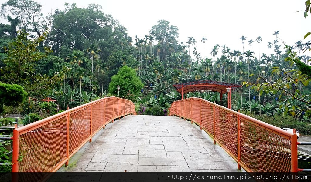 DSC04106.jpg DSC04106.jpg