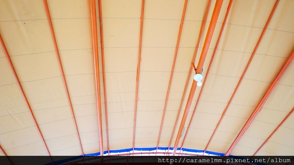 DSC04119.jpg DSC04119.jpg