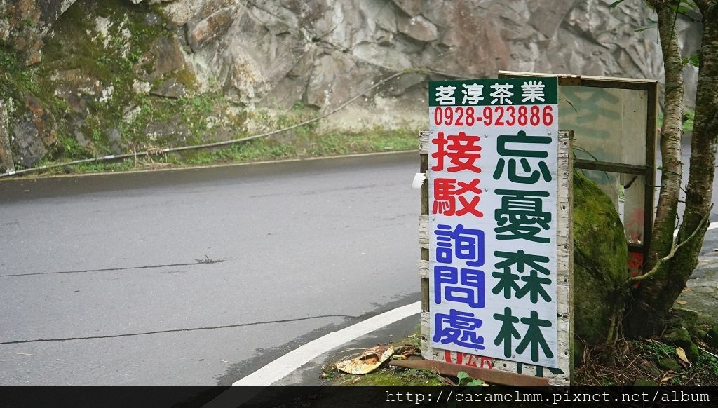 DSC04187.jpg DSC04187.jpg