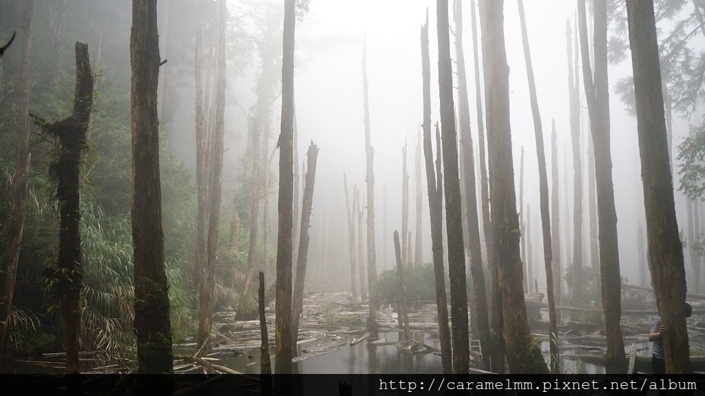 DSC04194.jpg DSC04194.jpg