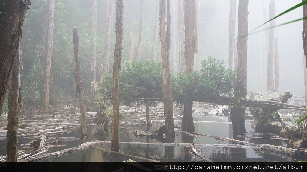 DSC04208.jpg DSC04208.jpg