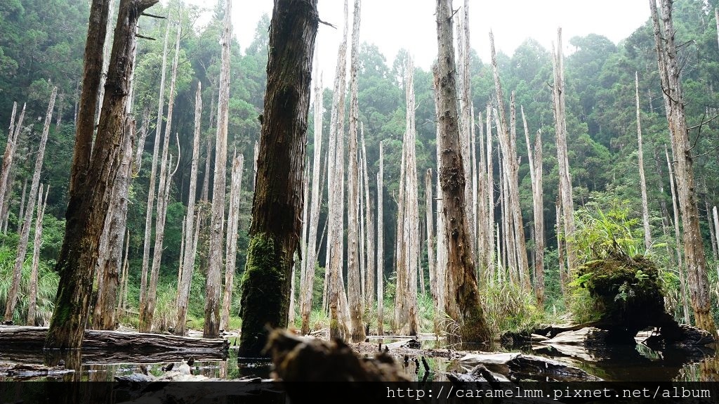 DSC04224.jpg DSC04224.jpg