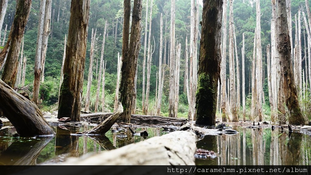 DSC04222.jpg DSC04222.jpg