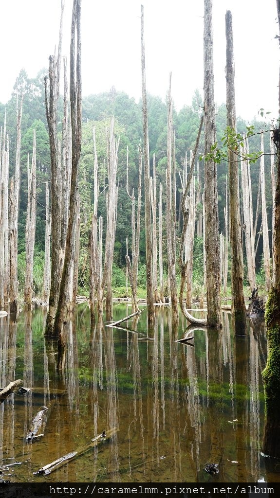 DSC04235.jpg DSC04235.jpg