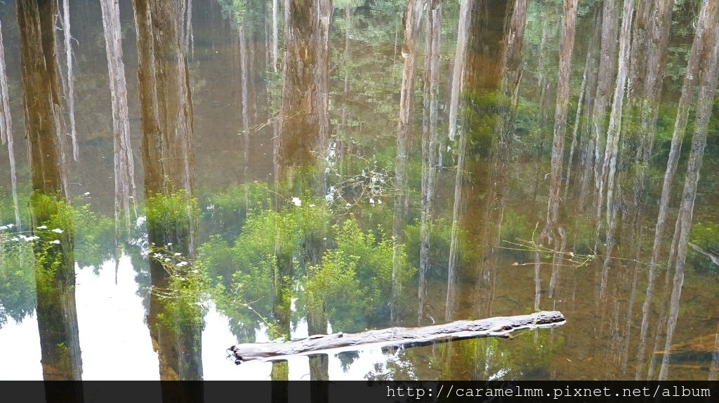 DSC04244.jpg DSC04244.jpg