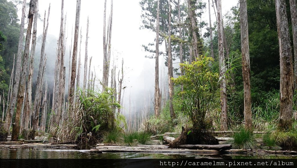 DSC04271.jpg DSC04271.jpg