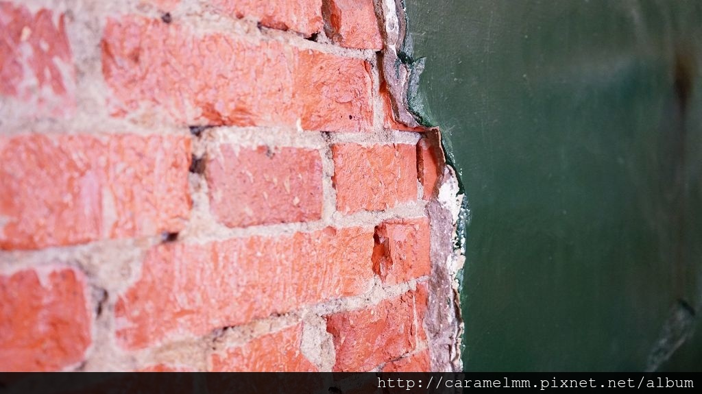 暖肚皮咖啡 DSC07349.jpg