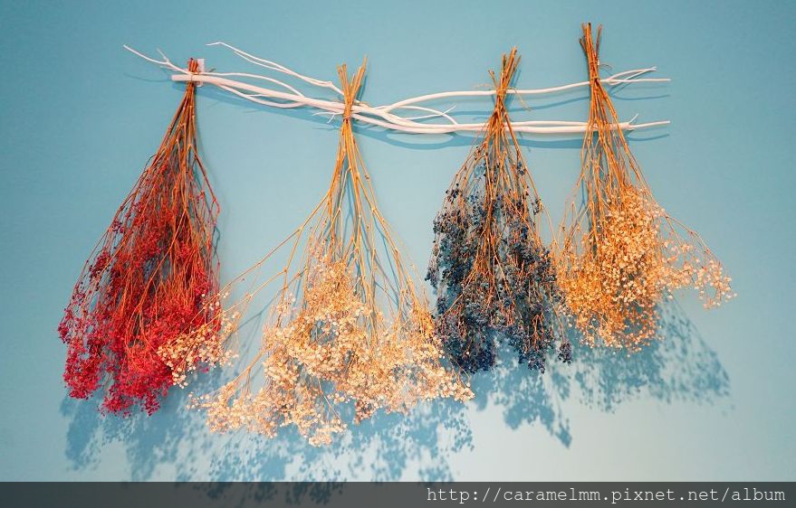 DSC07864.jpg DSC07864.jpg