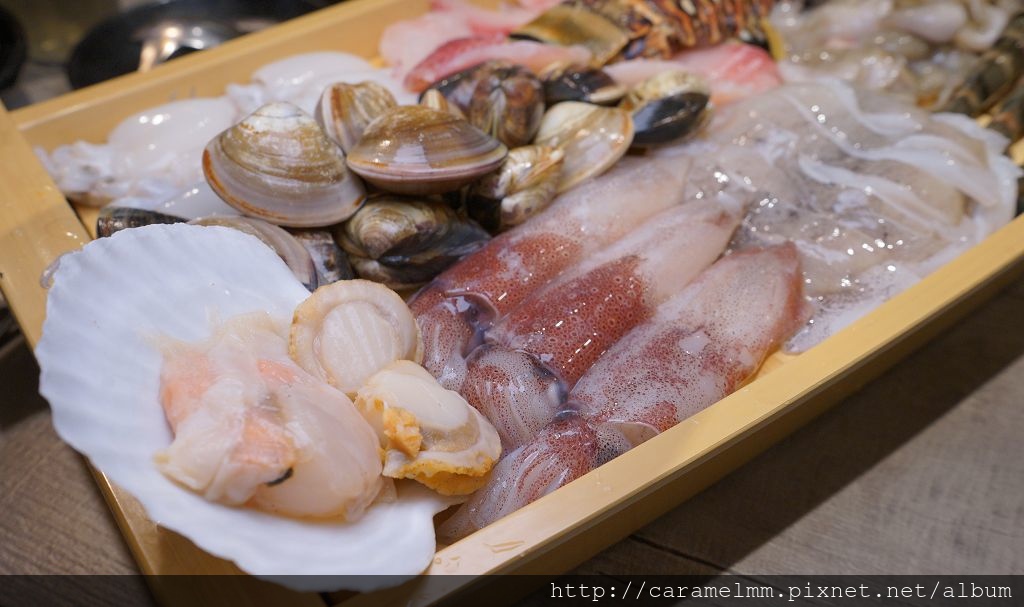 DSC08509.jpg DSC08509.jpg