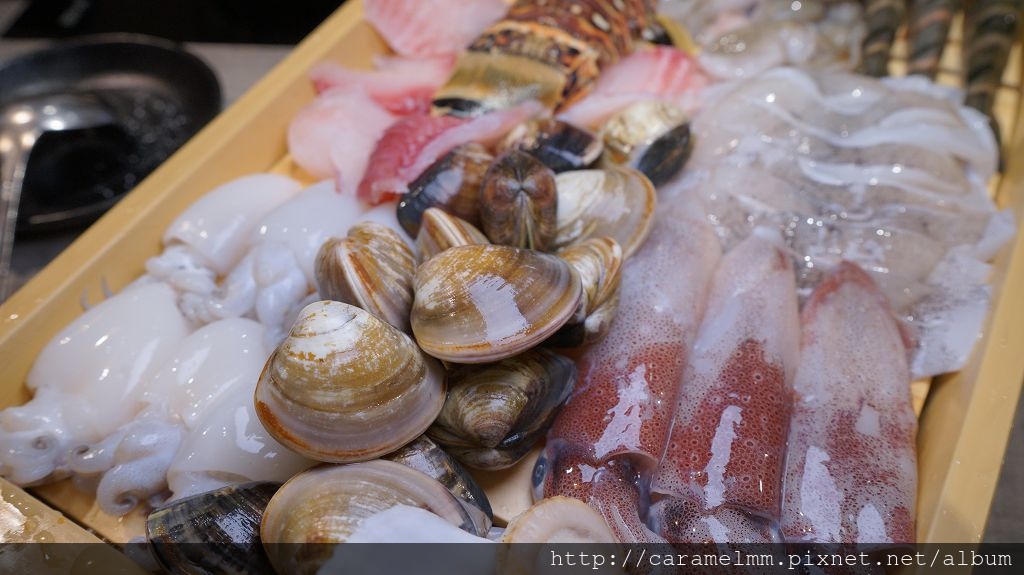 DSC08513.jpg DSC08513.jpg