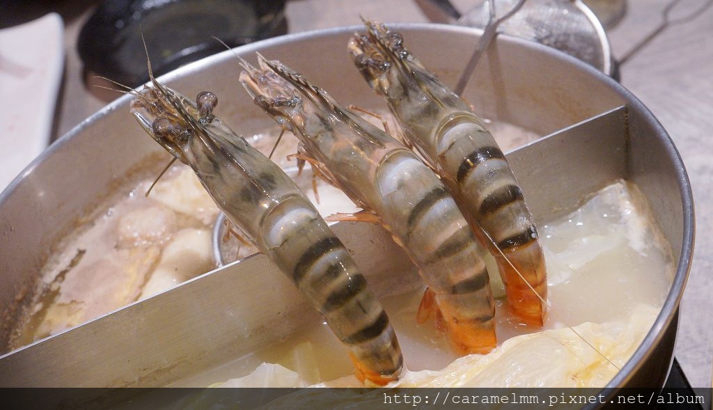 DSC08538.jpg DSC08538.jpg