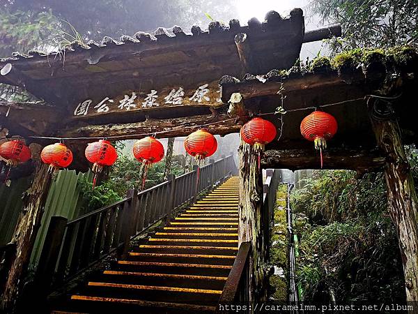 51 原始森林公園.jpg