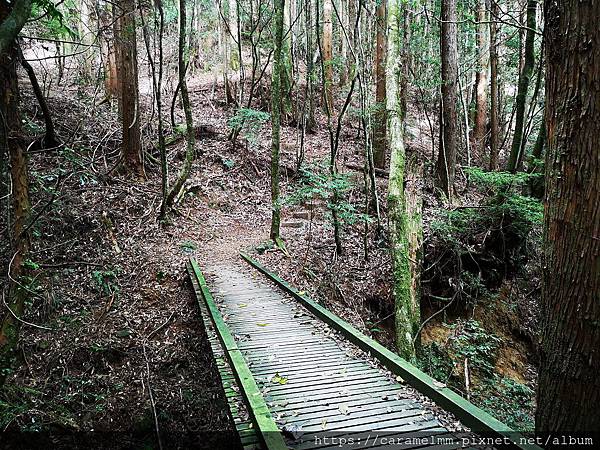 12 東洗水山登山步道.jpg