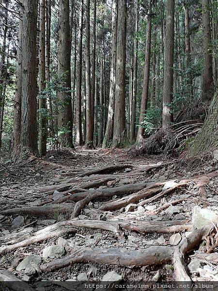 13 東洗水山登山步道.jpg