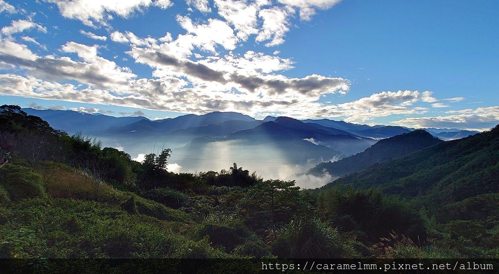 ,嘉義,阿里山,特富野古道,步道,健行,爬山,大自然,鐵道,登山,鐵路,