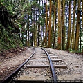 04 特富野古道 鐵軌.jpg
