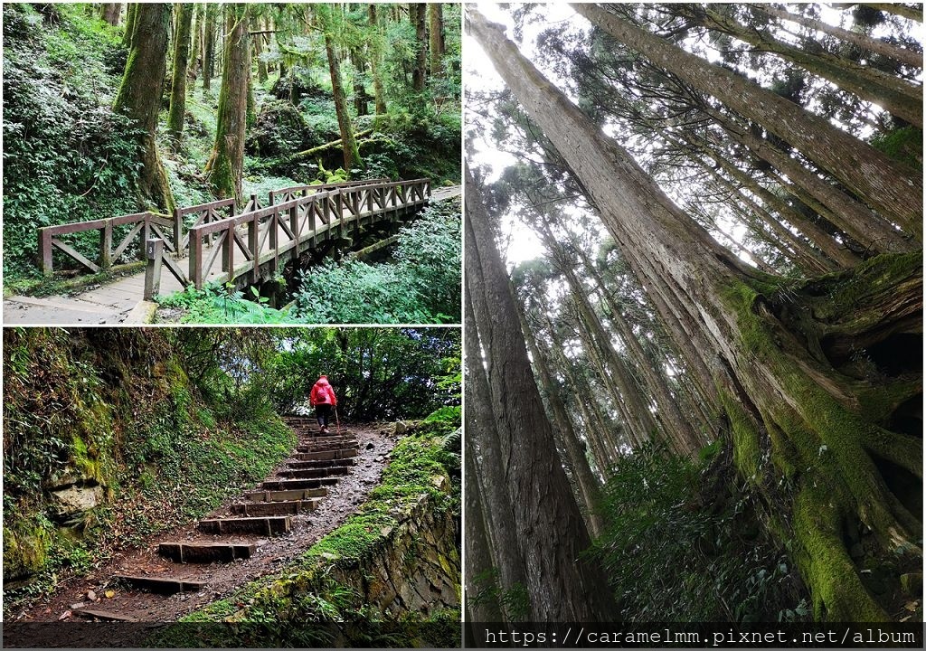 11 特富野古道.jpg