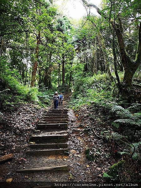 53 特富野古道.jpg