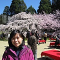 2011kyoto 032.JPG