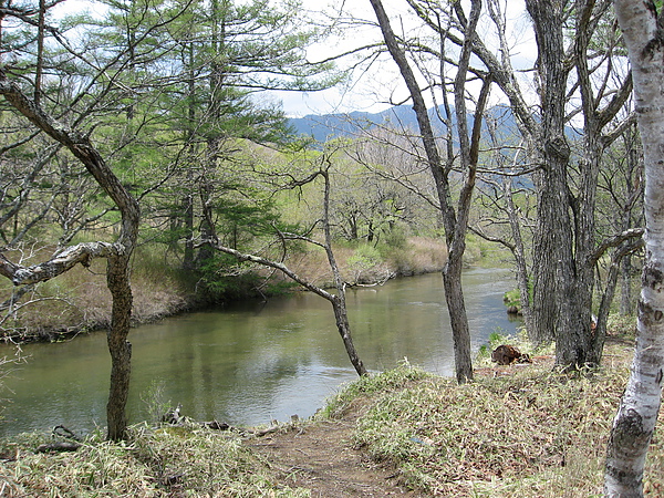 2010nikko 056.JPG