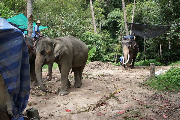 2012_Samui 060