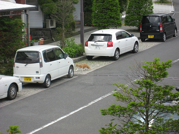 2010nikko 171.JPG