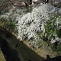 2011kyoto 089.JPG