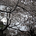 2010tokyo 057.JPG