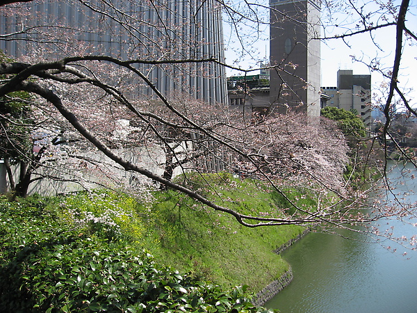 2010tokyo 152.JPG