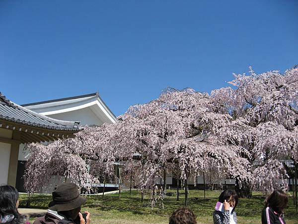 2011kyoto 018.JPG