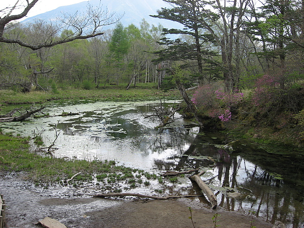 2010nikko 070.JPG