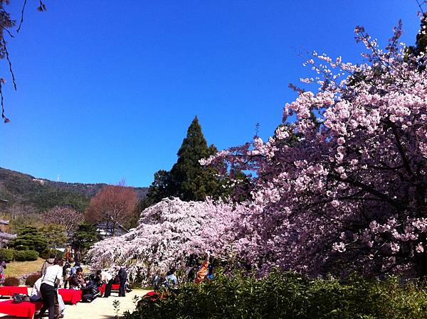 三寶寺庭院