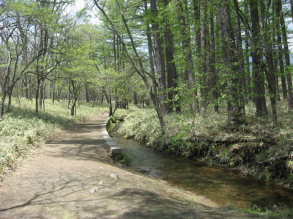 2010nikko 054.JPG