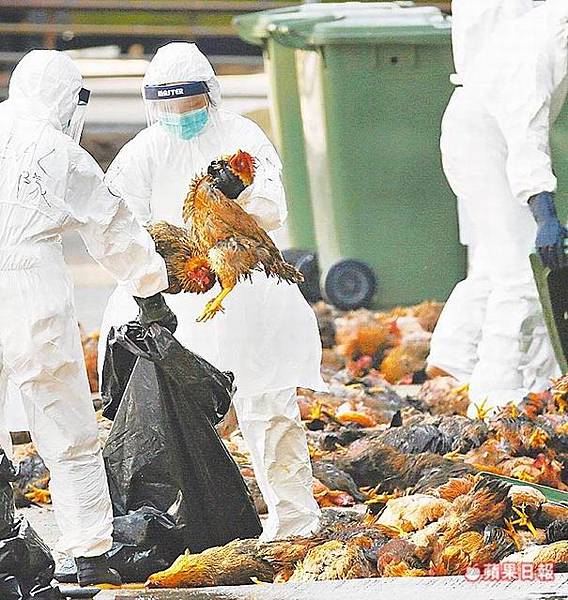 小額貸款,小額週轉,小額借錢,資金周轉,資金貸款,辦手機換現金,買車換現金,民間信貸,個人信貸,融資貸款,民間貸款, 銀行貸款,公司貸款,企業貸款,刷卡換現金,中小企業貸款,大額貸款,鉅額貸款,整合負債,資金貸款,資金借款,小額借款,公司周轉,金錢困難, 合法貸款,賣手機,續約換現金,攜碼換現金,手機換現金,手機送現金,門號送現金,續約送現金,攜碼送現金,機車送現金,軍公教貸款,婦女貸款, 如何借錢,如何貸款,借錢注意,合法借錢,安全借錢,借錢周轉,馬上領現金,當日拿現金,當日拿錢,馬上拿錢,缺錢,借錢,急用錢,急用金, 家庭補助金,上學補助金,勞工補助金,沒錢,功港借款.本利攤還,利率低,利息低,收購手機,收購3C產品,收購IPHONE,收購機車,機車一二胎, 汽車一二胎,收購中古車,收購中古機,房屋貸款,土地貸款,房地貸款,房屋一二胎,土地一二胎,土地一二胎,房屋借錢,土地借錢,房屋借款, 土地借款,房地借款,合法借錢,合法借款,資金需求,現金需求,現金週轉,企業資金,1111找工作,需要錢,現拿現金,現金免求人,104, 信用卡換現,刷卡換現,小額現金週轉,免卡貸款,賣手機,中小企業貸款,機車換錢,非詐騙,防詐騙,信用卡貸款,沒有錢,繳不起, 額度高,信用狀況,信用不好,法扣,協商,授權異常,強婷,急借錢,當日撥款,當日拿款,老客戶續約,勞保貸款,薪轉貸款,薪資轉帳, 勞保,收購平板,收購電腦,收購相機 小額貸款,小額週轉,小額借錢,資金周轉,資金貸款,辦手機換現金,買車換現金,民間信貸,個人信貸,融資貸款,民間貸款, 銀行貸款,公司貸款,企業貸款,刷卡換現金,中小企業貸款,大額貸款,鉅額貸款,整合負債,資金貸款,資金借款,小額借款,公司周轉,金錢困難, 合法貸款,賣手機,續約換現金,攜碼換現金,手機換現金,手機送現金,門號送現金,續約送現金,攜碼送現金,機車送現金,軍公教貸款,婦女貸款, 如何借錢,如何貸款,借錢注意,合法借錢,安全借錢,借錢周轉,馬上領現金,當日拿現金,當日拿錢,馬上拿錢,缺錢,借錢,急用錢,急用金, 家庭補助金,上學補助金,勞工補助金,沒錢,功港借款.本利攤還,利率低,利息低,收購手機,收購3C產品,收購IPHONE,收購機車,機車一二胎, 汽車一二胎,收購中古車,收購中古機,房屋貸款,土地貸款,房地貸款,房屋一二胎,土地一二胎,土地一二胎,房屋借錢,土地借錢,房屋借款, 土地借款,房地借款,合法借錢,合法借款,資金需求,現金需求,現金週轉,企業資金,1111找工作,需要錢,現拿現金,現金免求人,104, 信用卡換現,刷卡換現,小額現金週轉,免卡貸款,賣手機,中小企業貸款,機車換錢,非詐騙,防詐騙,信用卡貸款,沒有錢,繳不起, 額度高,信用狀況,信用不好,法扣,協商,授權異常,強婷,急借錢,當日撥款,當日拿款,老客戶續約,勞保貸款,薪轉貸款,薪資轉帳, 勞保,收購平板,收購電腦,收購相機