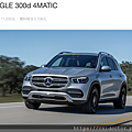 GLE300D.png