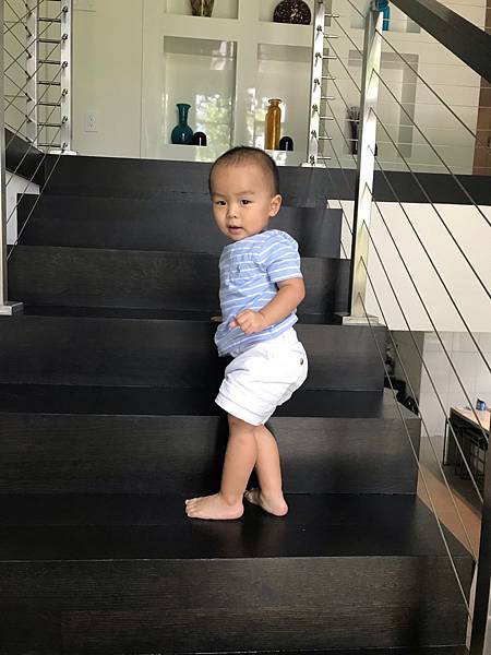 459B27ED-4FC7-4151-8EF3-46ED6DE46122.jpeg 459B27ED-4FC7-4151-8EF3-46ED6DE46122.jpeg