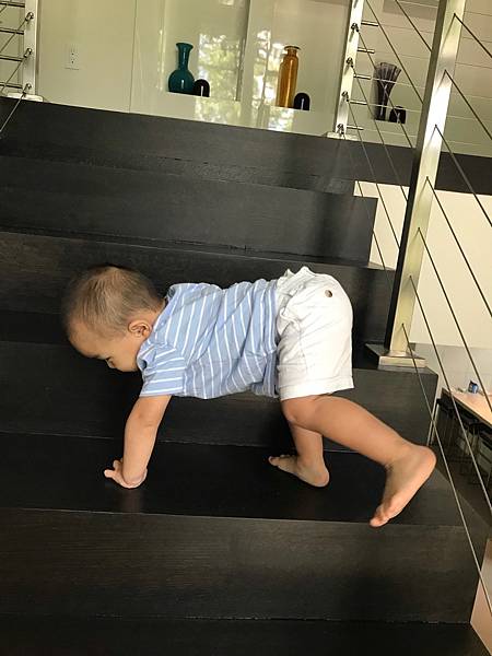 BBFF13B0-2D30-4C8D-A759-ADA43A3B244B.jpeg BBFF13B0-2D30-4C8D-A759-ADA43A3B244B.jpeg