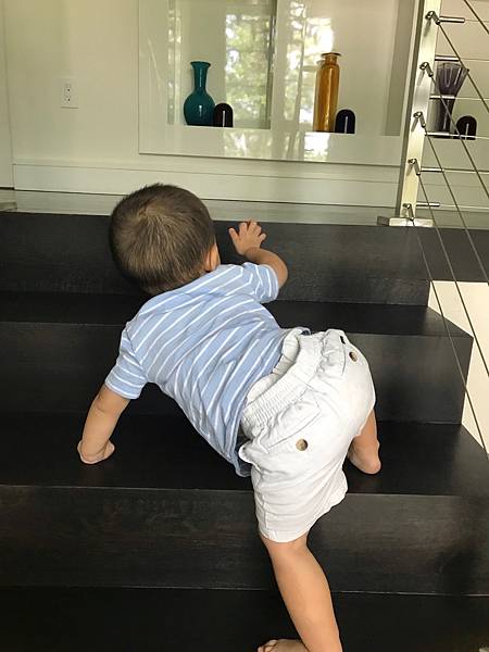 05688224-59A4-44D8-889B-EA8FE8F7B5A0.jpeg 05688224-59A4-44D8-889B-EA8FE8F7B5A0.jpeg