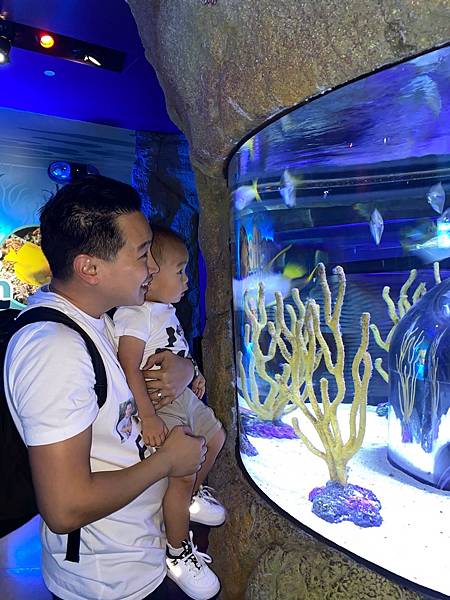 33082F7C-F693-4C55-85B8-41D4D582E239.jpeg 33082F7C-F693-4C55-85B8-41D4D582E239.jpeg