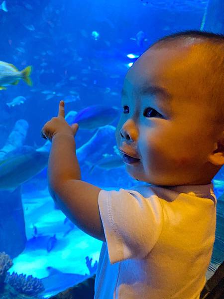 0453E108-F3C6-4303-A899-80FDEC515D52.jpeg 0453E108-F3C6-4303-A899-80FDEC515D52.jpeg