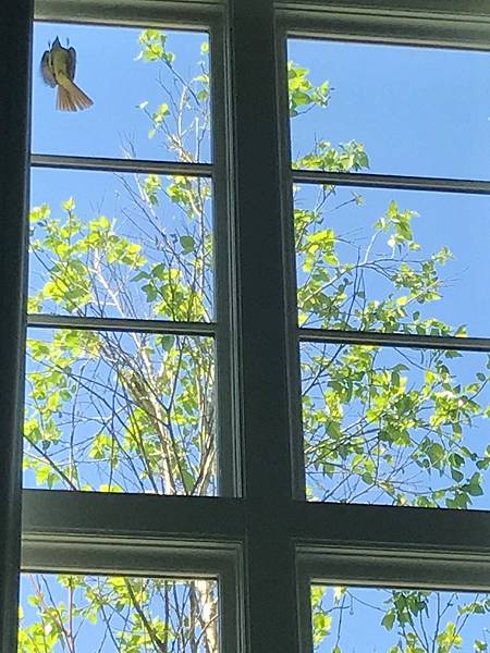 8ED757FB-5193-43B5-9002-C2DDD29BAA87.jpeg 8ED757FB-5193-43B5-9002-C2DDD29BAA87.jpeg