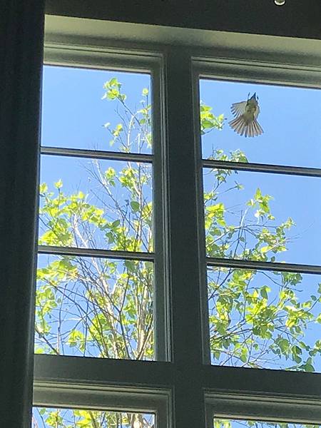 707F6986-11C2-4F5C-BF8A-380BA02F6000.jpeg 707F6986-11C2-4F5C-BF8A-380BA02F6000.jpeg