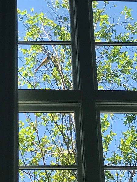 48F4D249-9BFD-4B7A-B224-C9BBE93593BD.jpeg 48F4D249-9BFD-4B7A-B224-C9BBE93593BD.jpeg