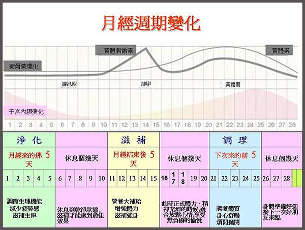 月經週期變化