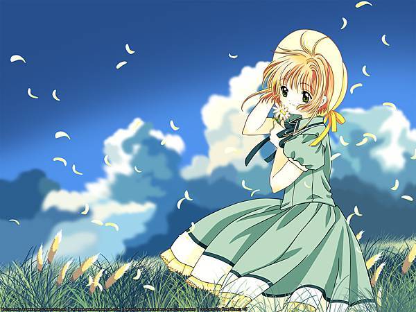 Konachan.com - 37608 card_captor_sakura kinomoto_sakura