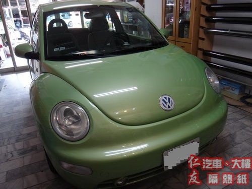 Beetle.jpg Beetle.jpg